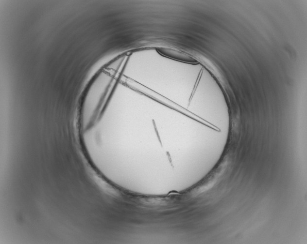X0000111011149200907171829