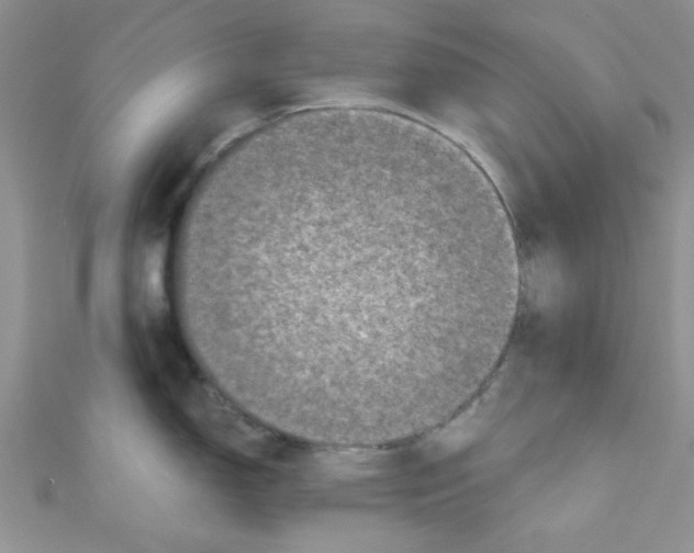 X0000111011150200907171829