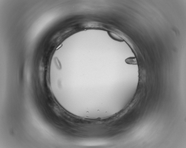 X0000111011151200907171829