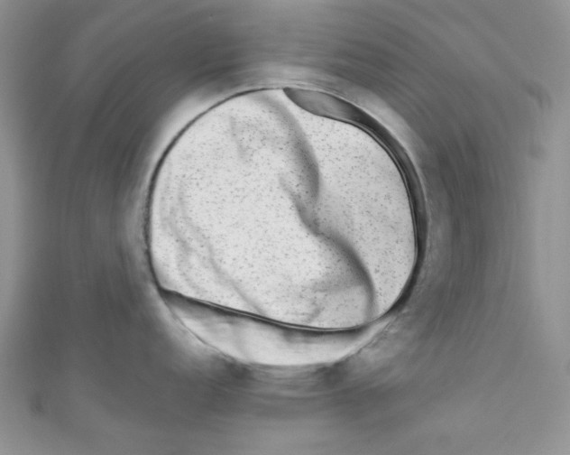 X0000111011152200907171829
