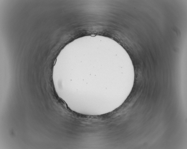 X0000111011153200907171829