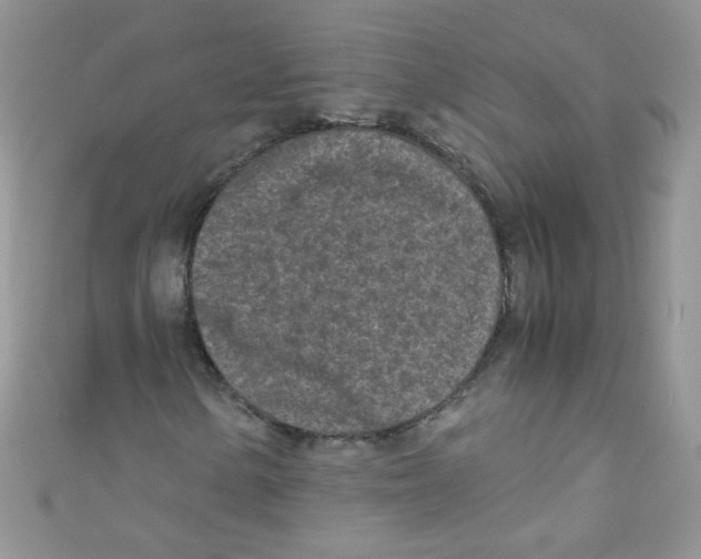 X0000111011154200907171829