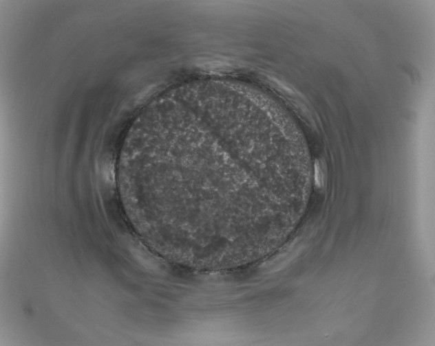 X0000111011155200907171829