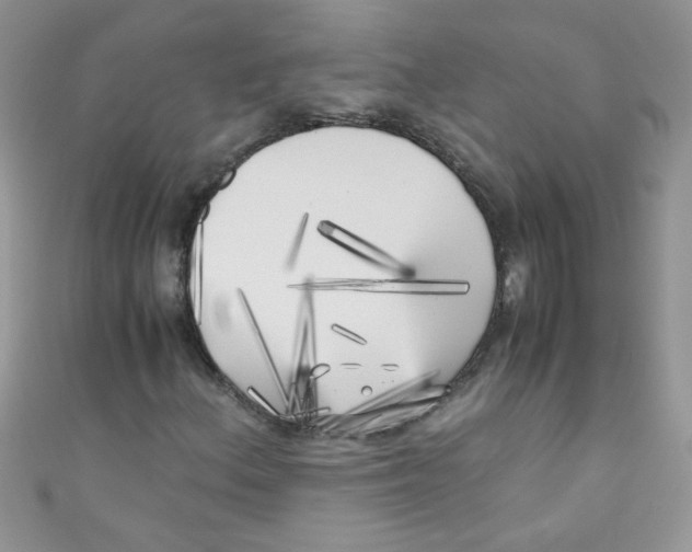 X0000111011156200907171829