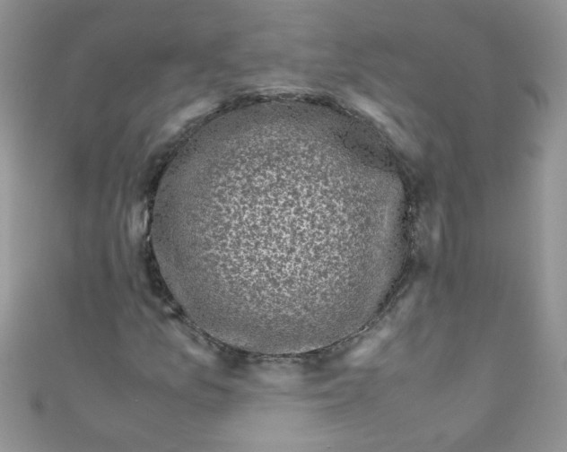 X0000111011157200907171829