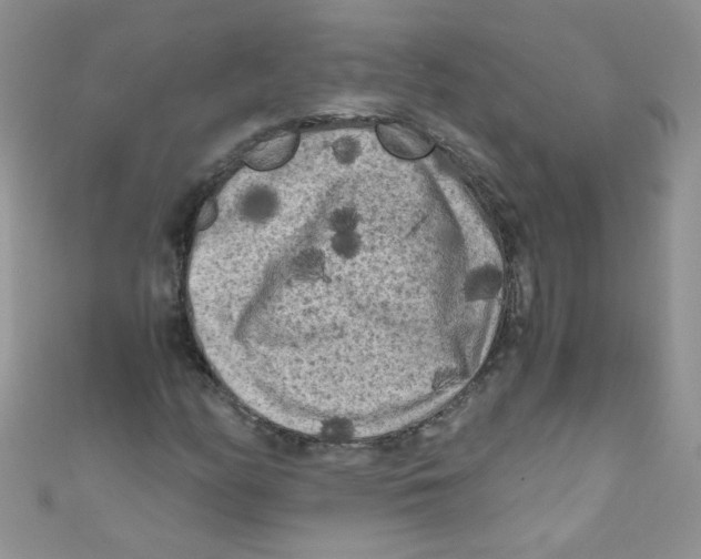 X0000111011158200907171828