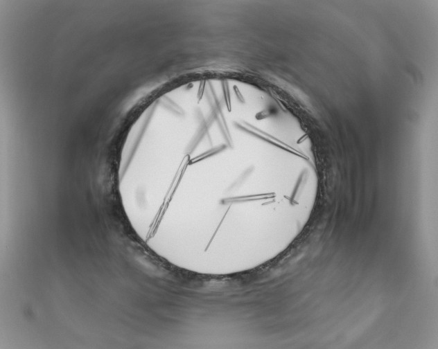 X0000111011160200907171828