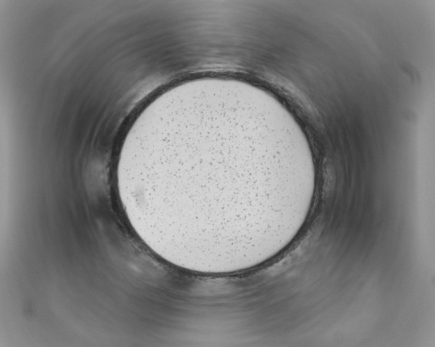 X0000111011162200907171828