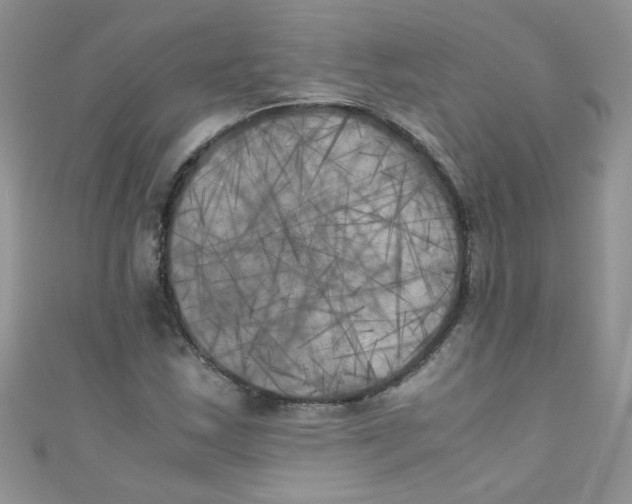 X0000111011163200907171828