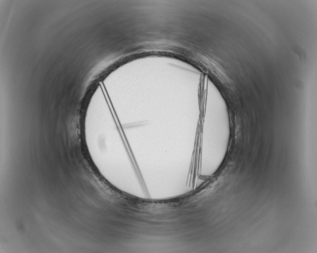 X0000111011164200907171828