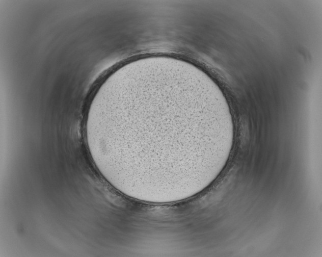 X0000111011166200907171828