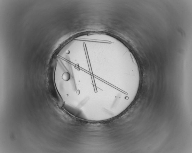 X0000111011168200907171828