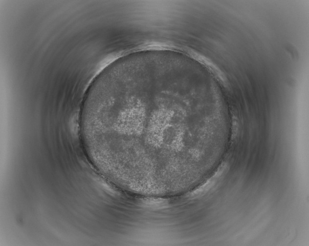 X0000111011170200907171828