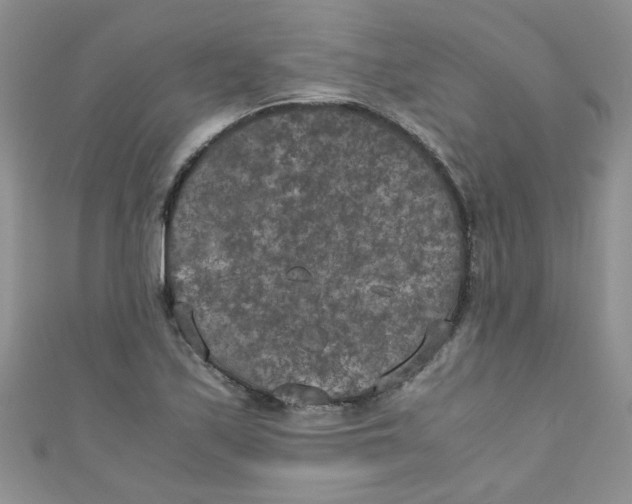 X0000111011171200907171828