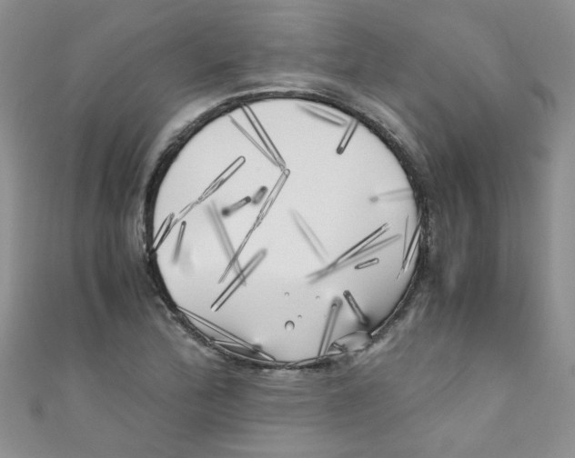 X0000111011172200907171828
