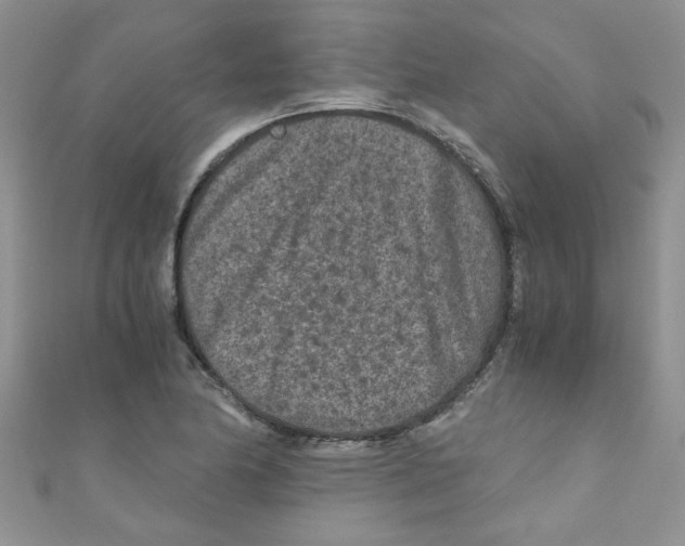X0000111011174200907171828
