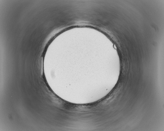 X0000111011175200907171828