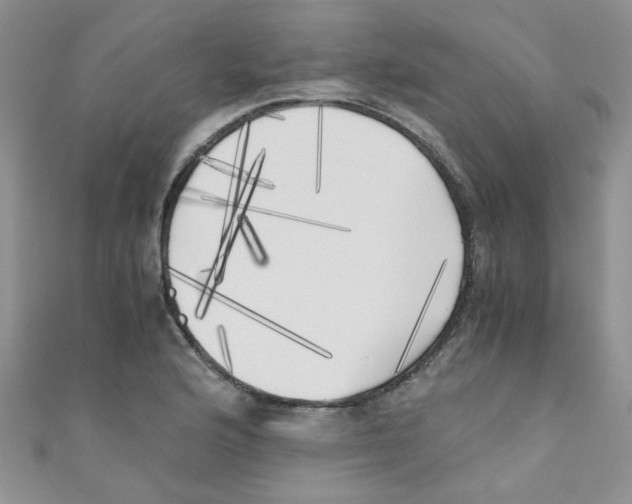X0000111011176200907171828