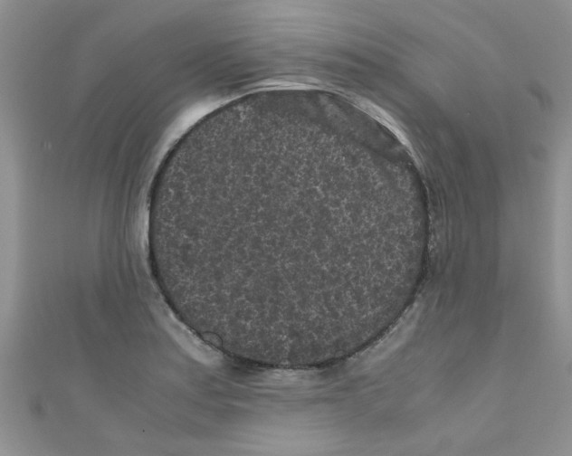 X0000111011179200907171828