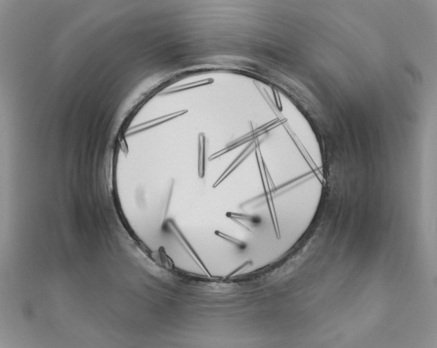 X0000111011180200907171828