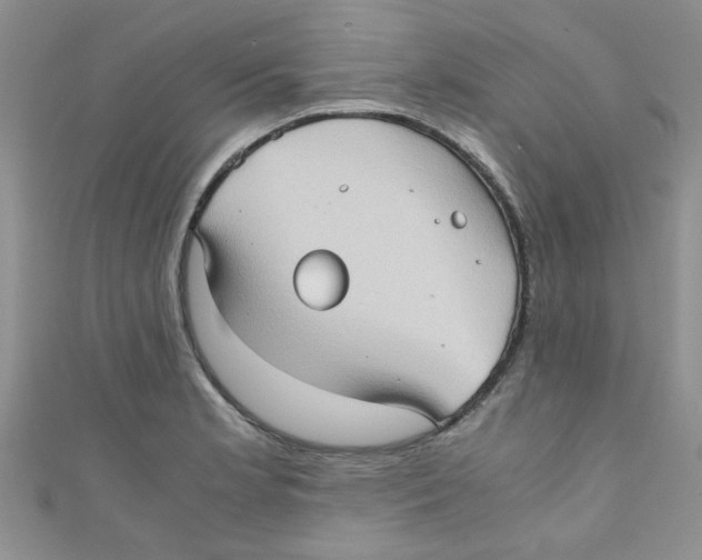 X0000111011181200907171828