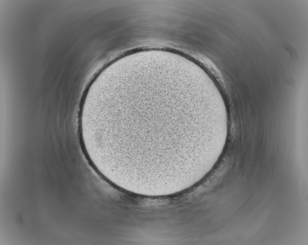 X0000111011183200907171828