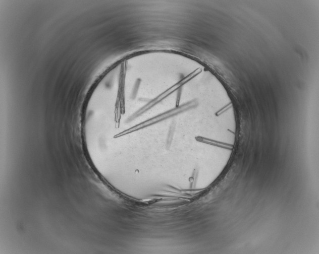 X0000111011184200907171828