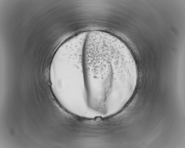 X0000111011185200907171828