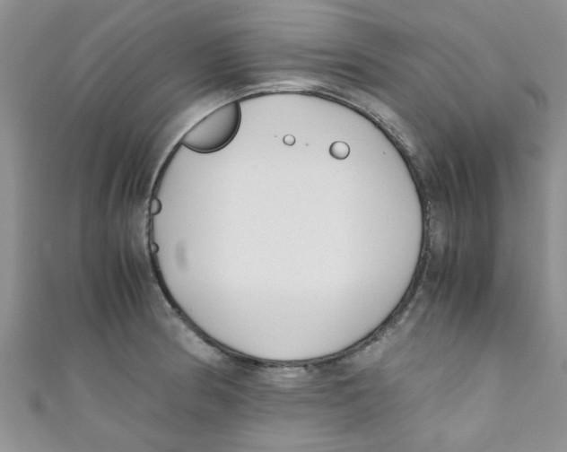 X0000111011186200907171828