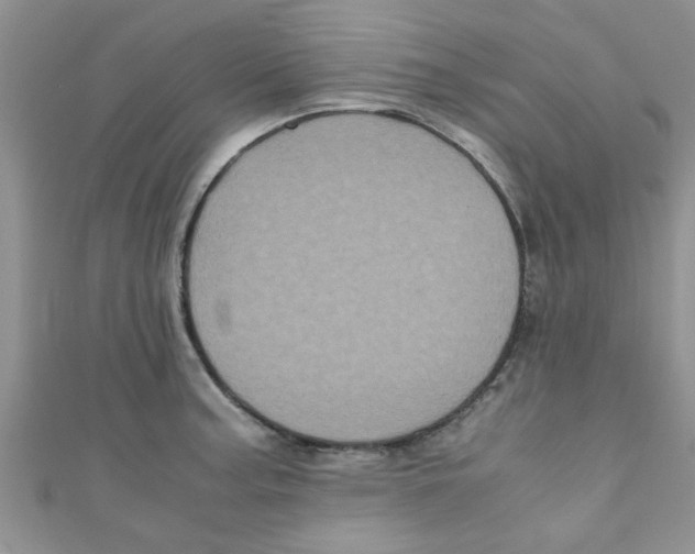 X0000111011187200907171828