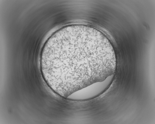 X0000111011188200907171828