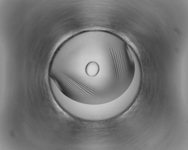X0000111011189200907171828