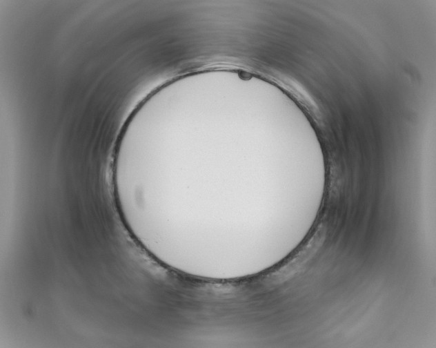 X0000111011190200907171828