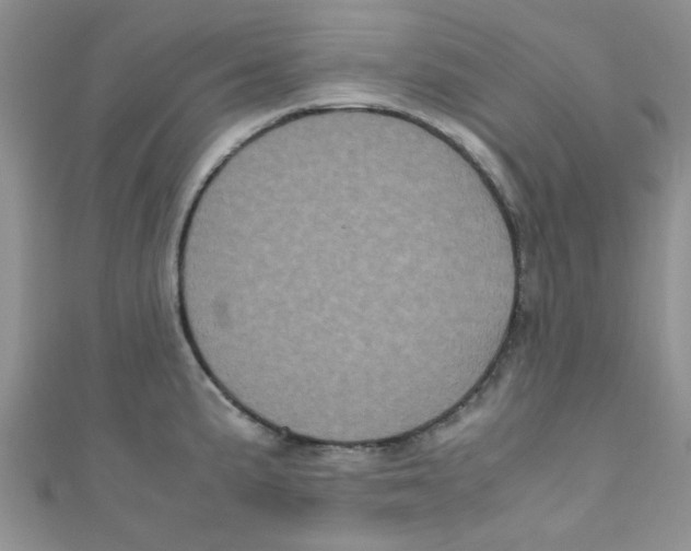 X0000111011191200907171828
