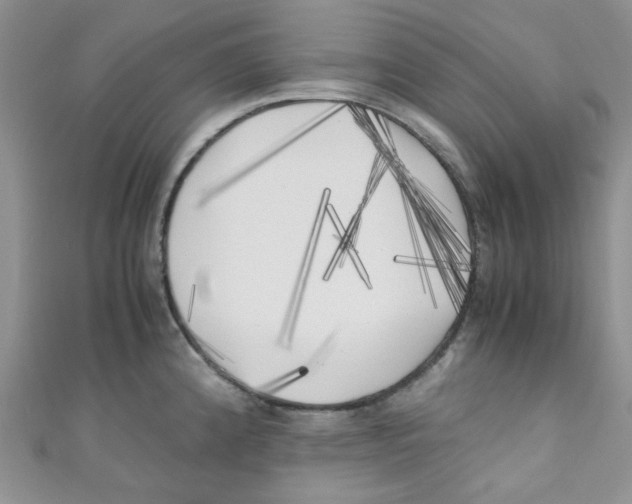 X0000111011192200907171828