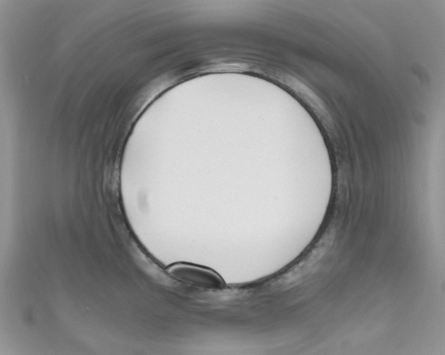 X0000111011193200907171828