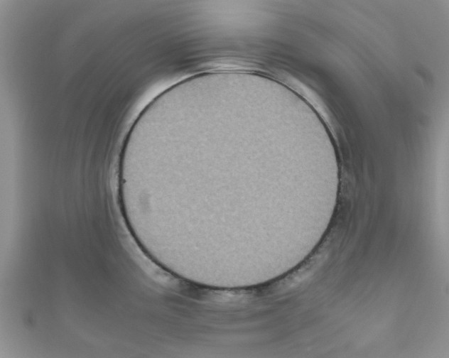 X0000111011195200907171828
