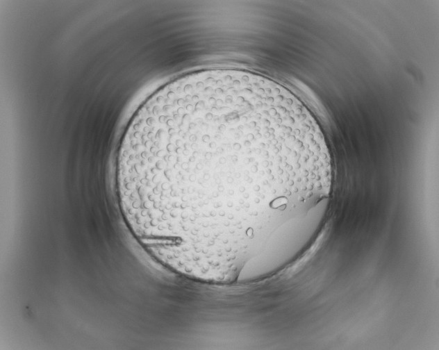 X0000111011196200907171828
