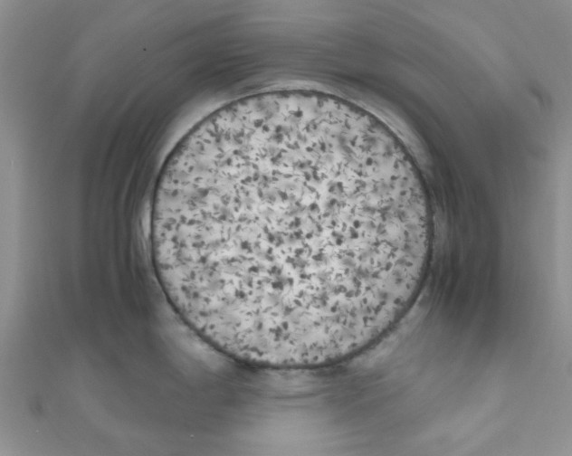 X0000111011198200907171828