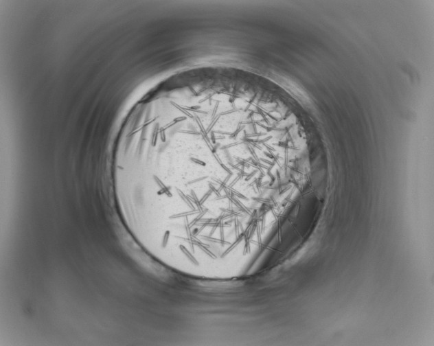 X0000111011200200907171828