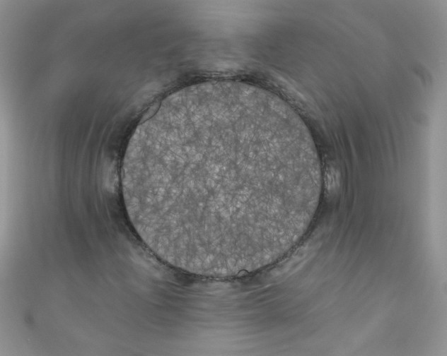 X0000111011204200907171827