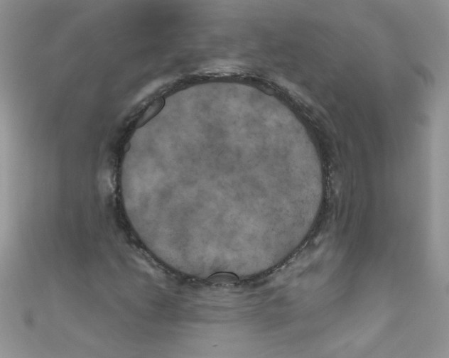 X0000111011206200907171827