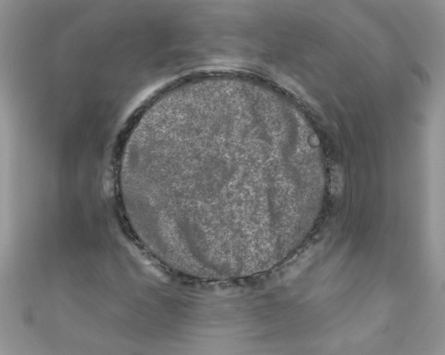 X0000111011208200907171827