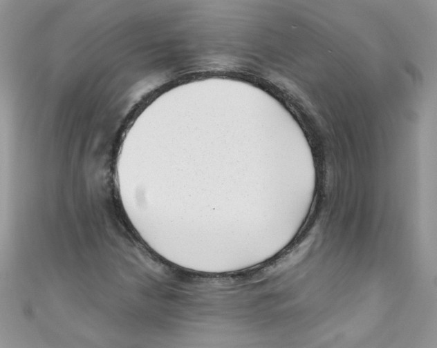 X0000111011210200907171827