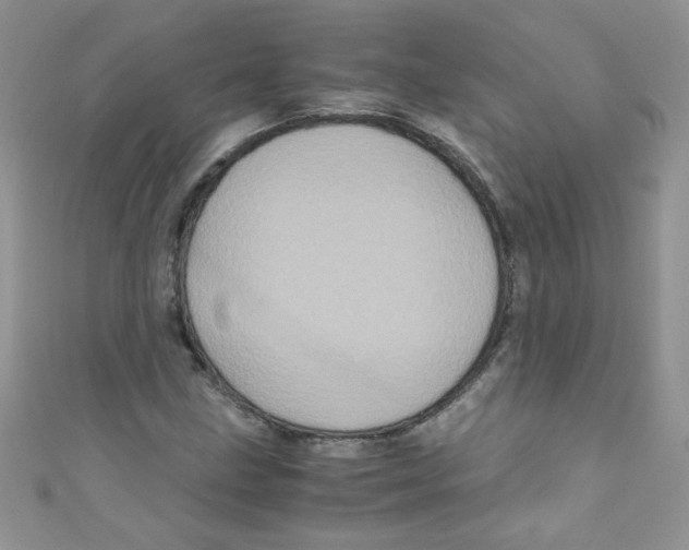 X0000111011211200907171827