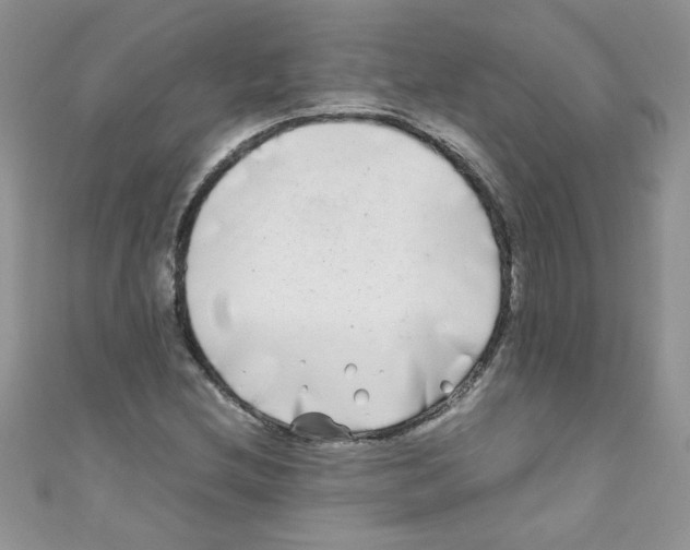 X0000111011212200907171827