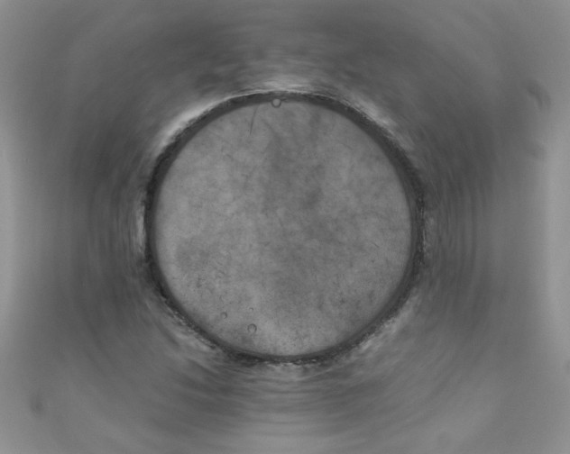 X0000111011214200907171827