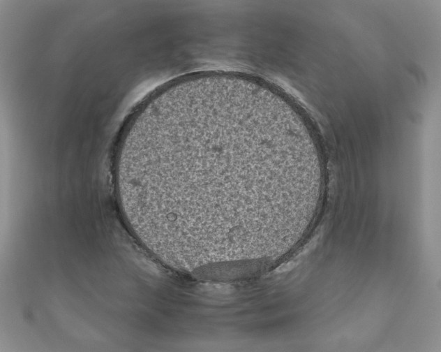 X0000111011215200907171827
