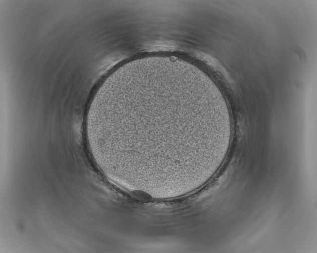 X0000111011217200907171827