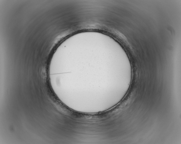 X0000111011218200907171827